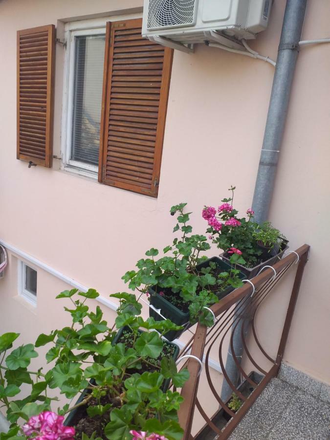 Hostel Corner 021 Novi Sad Dış mekan fotoğraf